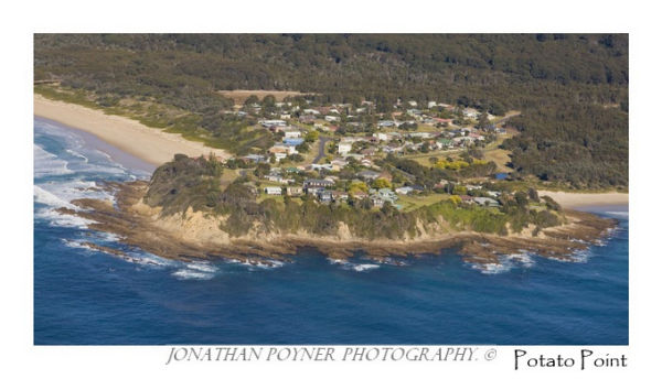 Potato Point, #1
